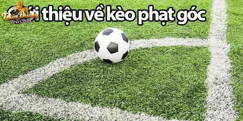 Banner ưu đãi độc quyền cho thành viên soi kèo phạt góc.