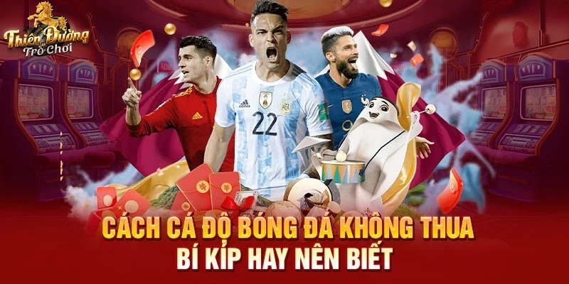 Chương trình khuyến mãi hấp dẫn cho thành viên mới soi kèo 88