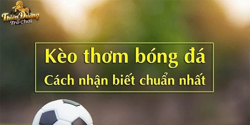 Hình ảnh trải nghiệm người chơi khi sử dụng chức năng soi kèo trực tuyến.